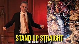 DOMINANCE HIERARCHY IN HUMANS  Jordan B Peterson [upl. by Aelanna]