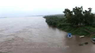 Crossing the mighty Brahmaputra in monsoon spate [upl. by Koral]