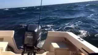 Parker 2120 SC in 45 ft swells [upl. by Chapen]