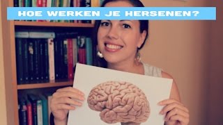 Hoe werkt je brein voor beginners [upl. by Adelaide]