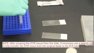 UltraRapid FFPE DNA Extraction tutorial [upl. by Old]