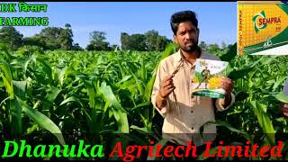 Dhanuka agritech सेम्प्रा  Halosulfuron Methyl 75 WG  सम्पूर्ण जानकारी [upl. by Nadoj978]