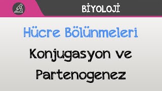 Hücre Bölünmeleri  Konjugasyon ve Partenogenez [upl. by Barbaresi714]