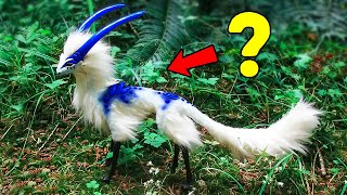 10 Unique Animals You Won’t Believe Exist [upl. by Truk907]