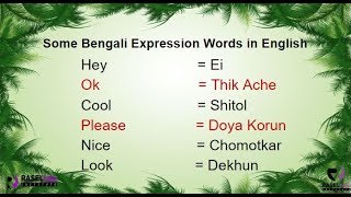 Learn Bengali Frequently Used Expression Words In English [upl. by Lawler]