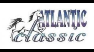 Atlantic Classic Yearling Sale [upl. by Aivatnuhs824]