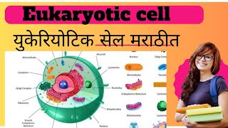 quotEukaryotic Cell Structure and Functionquot [upl. by Kurtz]