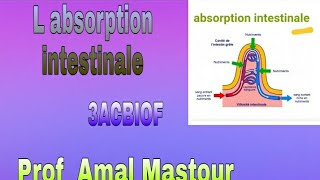 l absorption intestinale 3 ACBIOF [upl. by Alard]