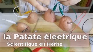 La patate électrique [upl. by Akanke]