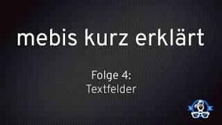 mebis kurz erklärt 4 Textfelder [upl. by Standing]