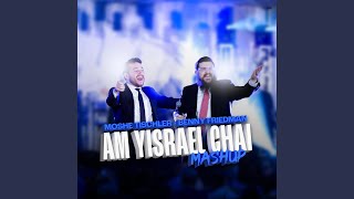 Am Yisrael Chai Mashup [upl. by Iek616]