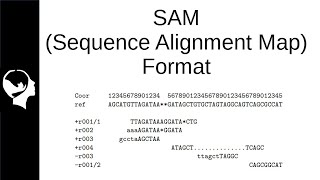 Understanding SAMBAM file specifications [upl. by Eyram]