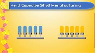 Manufacturing of shells of hard capsules [upl. by Demetrius]