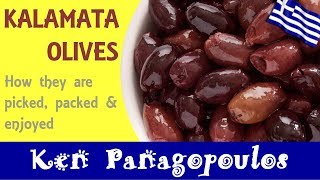 Kalamata Olives  How Kalamata Olives Are Prepared amp Enjoyed [upl. by Fadas]