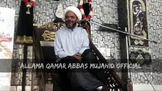 Allama Qamar Abbas Mujahid [upl. by Elleirbag]