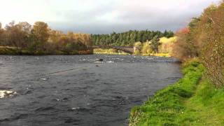 Grantown on Spey River Spey Scotland [upl. by Jenks]