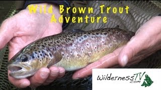 FLY FISHING Small Rivers for Brown Trout [upl. by Manny]