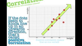 EDA using Bivariate and Multivariate Analysis  Day 21  100 Days of Machine Learning [upl. by Aicekal]