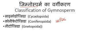 Classification of Gymnosperm Plants in Hindi  अनावृतबीजी पादपों का वर्गीकरण [upl. by Airbma650]