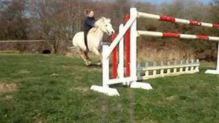 Jumping pony high fence bareback [upl. by Ara829]