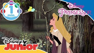 Törnrosa  Musik Jag undrar 🎶 Disney Junior Sverige [upl. by Marcille]