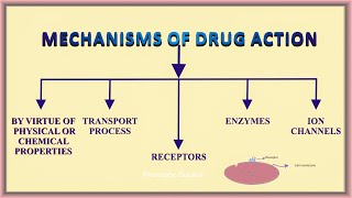 Mechanism of drug action  Pharmacodynamics [upl. by Field861]