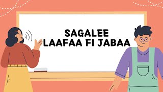 Sagalee jechoota Afaan Oromoo part  2Laafaa fi jabaaየ አፋን ኦሮሞ ድምጾች ክፍል ሁለት [upl. by Ortrude]