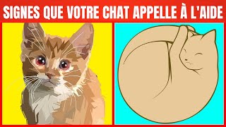 19 signes que votre Chat demande de laide [upl. by Ddat]