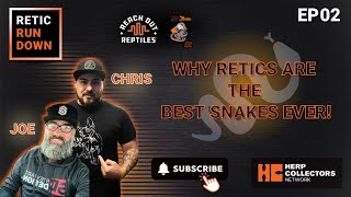 Retic Rundown Episode 2  Why Retics Are THE BEST SNAKES EVER [upl. by Sillsby]