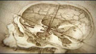 Part 1 of 2 BBC  The Beauty of Diagrams Vitruvian Man [upl. by Eniamrehc890]