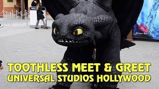 Toothless Meet amp Greet at Universal Studios Hollywood [upl. by Eenehs]