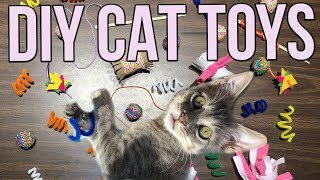 5 Easy Cat Toys Kids Can Make at Home [upl. by Frech]