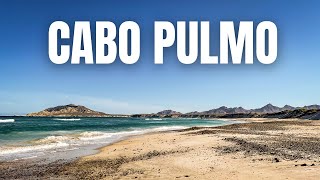 The Most MAGICAL Place in Los Cabos  Cabo Pulmo Baja California Sur [upl. by Zullo]