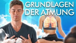 Physiologische Grundlagen der Atmung  Einfach erklärt [upl. by Orgell205]