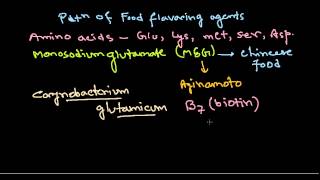 Monosodium glutamate production [upl. by Oinotla162]