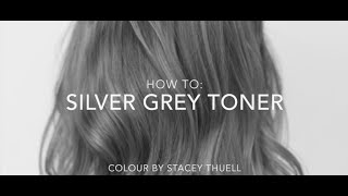 How to get a Perfect Silver Grey Toner using Fanola [upl. by Moyra]