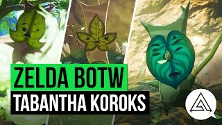 Zelda Breath of the Wild  All Korok Seeds Guide  Tabantha Region [upl. by Sumner134]