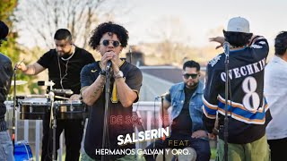 De Sol A Sol LIVE  Salserin feat Hermanos Galvan amp Orquesta [upl. by Maegan]