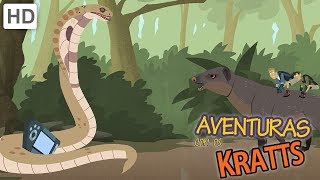 Aventuras com os Kratts  Aprender Mais Sobre Diferentes Tipos de Animais Selvagens [upl. by Morehouse]