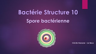 Bactérie Structure 10 SPORE BACTERIENNE [upl. by Tegdig416]