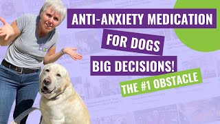 AntiAnxiety Medication for Dogs – The 1 Obstacle to Saying YES [upl. by Alonso514]