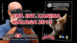 EXP INT CANINA  MALAGA 2015 [upl. by Vanderhoek]