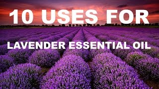 10 Benefits and Uses of Lavender Essential Oil [upl. by Akerehs810]