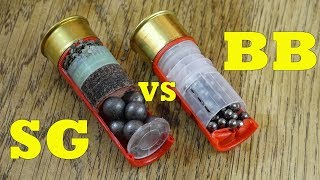 SG vs BB Shotgun Cartridges [upl. by Kho]