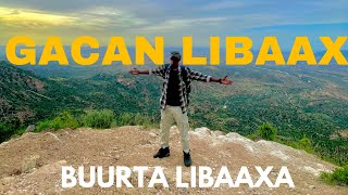 Buurta Gacan Libaax  Hoy Libaax Ayaanu Martinay❗️❗️ [upl. by Atsylac]