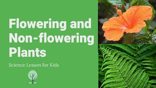 Flowering and Nonflowering Plants  Differences Examples and Reproduction  Science Lesson [upl. by Ellenehs]