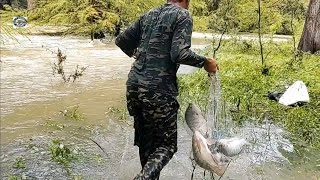 sacando tilapias gigantes en la peligrosa creciente del rio una mega corriente [upl. by Kosse]