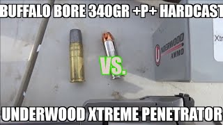 44 mag For Alaska Xtreme Penetrators Vs Buffalo Bore 340gr p [upl. by Bekha]