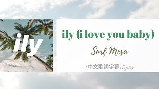 Surf Mesa  ily i love you baby feat Emilee中文歌詞字幕Lyrics [upl. by Ocirrej832]