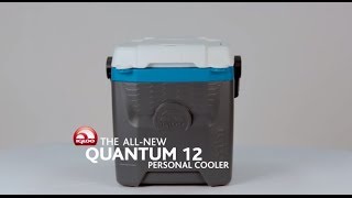 Igloo Coolers Quantum 12 Personal Cooler  The Perfect Lunch Cooler is Here [upl. by Flaherty358]